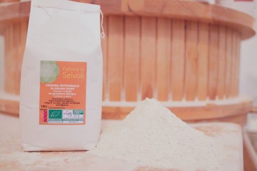 Farina integrale di grano duro korasan saragolla