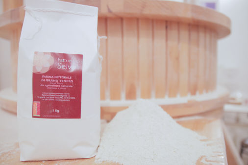 Farina integrale di grano tenero gentil rosso